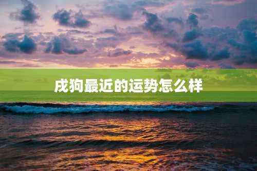 戌狗最近的运势怎么样