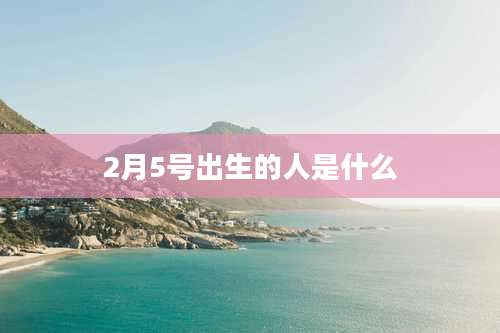 2月5号出生的人是什么