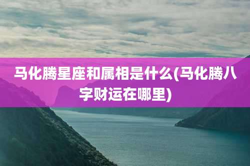 马化腾星座和属相是什么(马化腾八字财运在哪里)