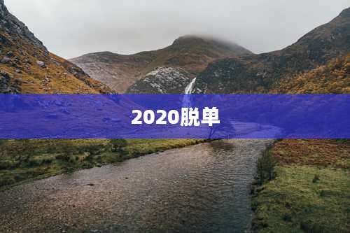 2020脱单