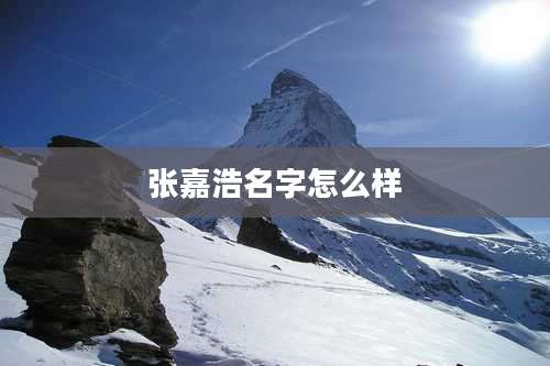 张嘉浩名字怎么样