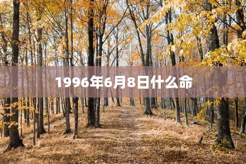 1996年6月8日什么命