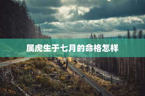属虎生于七月的命格怎样