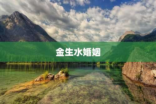 金生水婚姻