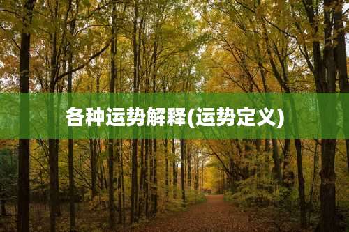 各种运势解释(运势定义)