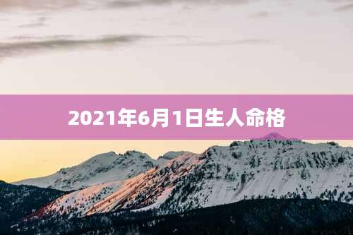 2021年6月1日生人命格