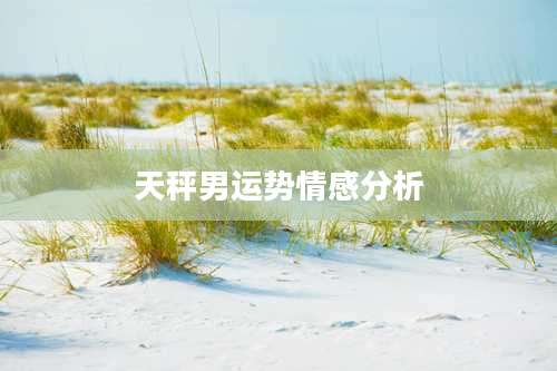 天秤男运势情感分析