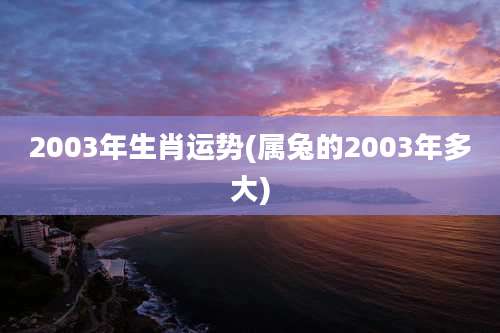 2003年生肖运势(属兔的2003年多大)