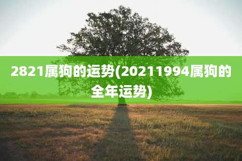 2821属狗的运势(20211994属狗的全年运势)