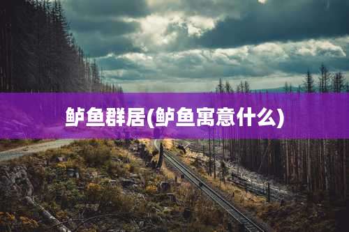 鲈鱼群居(鲈鱼寓意什么)