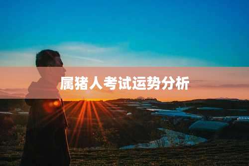 属猪人考试运势分析