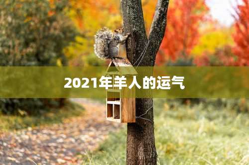2021年羊人的运气