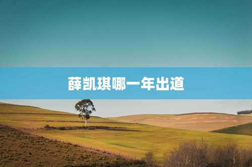 薛凯琪哪一年出道