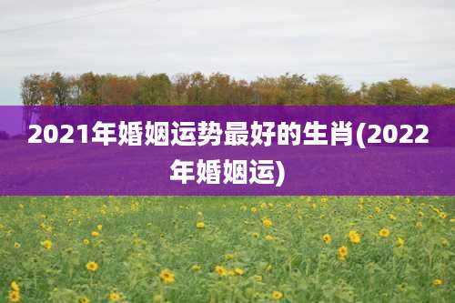 2021年婚姻运势最好的生肖(2022年婚姻运)