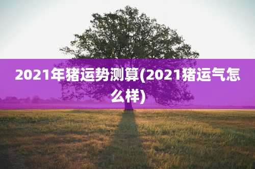 2021年猪运势测算(2021猪运气怎么样)