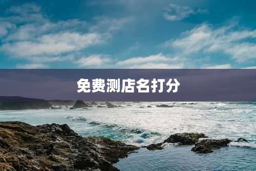 免费测店名打分