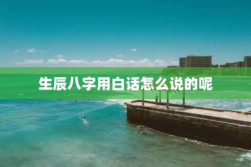 生辰八字用白话怎么说的呢