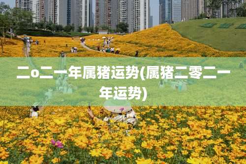 二o二一年属猪运势(属猪二零二一年运势)