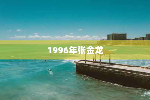 1996年张金龙