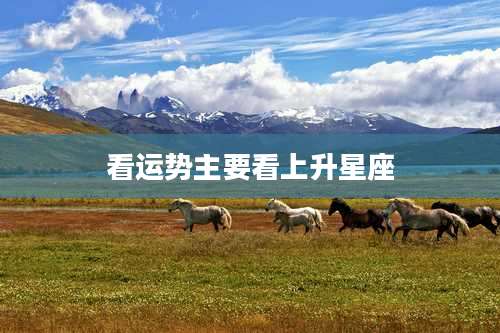 看运势主要看上升星座