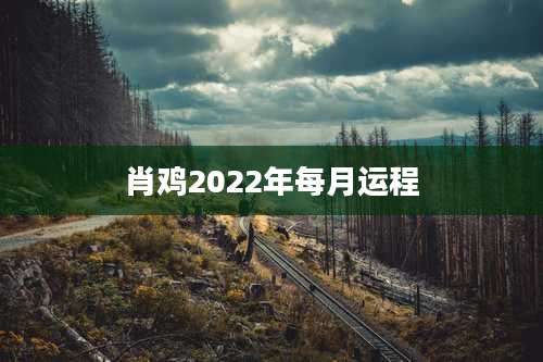 肖鸡2022年每月运程