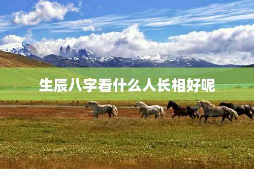 生辰八字看什么人长相好呢