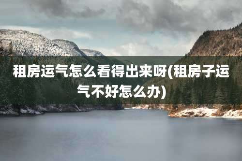 租房运气怎么看得出来呀(租房子运气不好怎么办)
