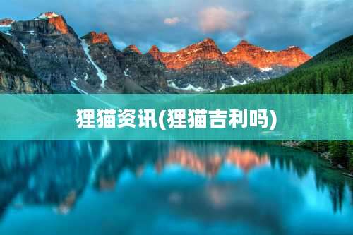 狸猫资讯(狸猫吉利吗)