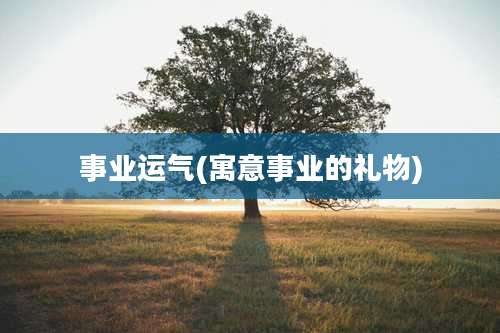 事业运气(寓意事业的礼物)