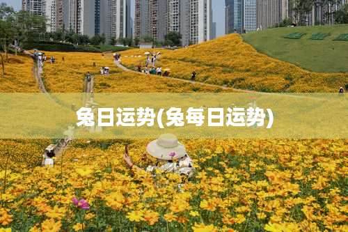 兔日运势(兔每日运势)