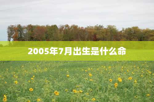 2005年7月出生是什么命