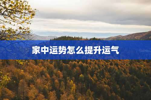 家中运势怎么提升运气