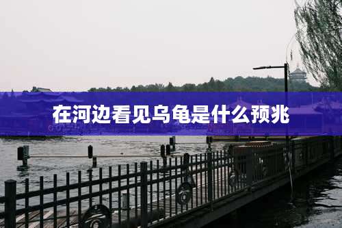 在河边看见乌龟是什么预兆