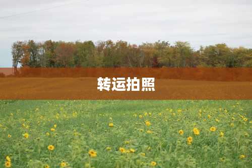 转运拍照