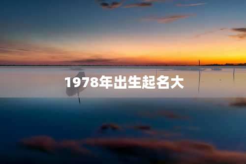 1978年出生起名大