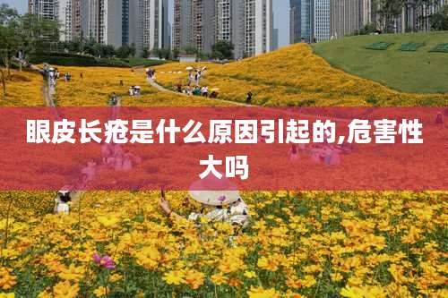 眼皮长疮是什么原因引起的,危害性大吗