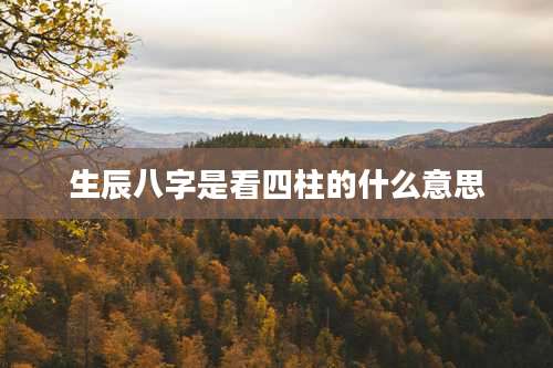 生辰八字是看四柱的什么意思