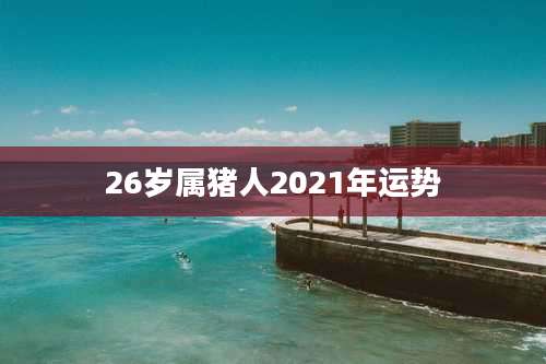26岁属猪人2021年运势