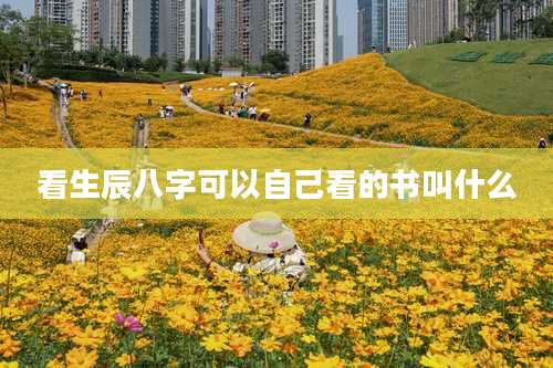 看生辰八字可以自己看的书叫什么