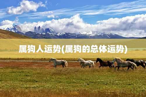 属狗人运势(属狗的总体运势)