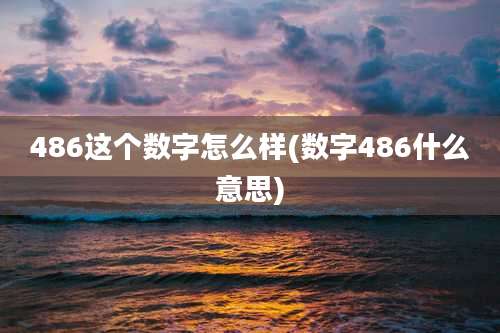486这个数字怎么样(数字486什么意思)