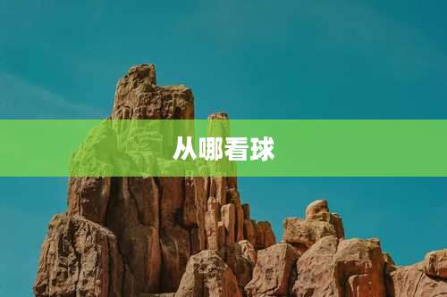 从哪看球
