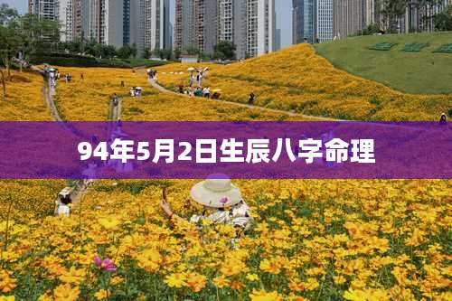 94年5月2日生辰八字命理