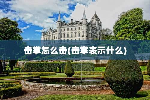 击掌怎么击(击掌表示什么)