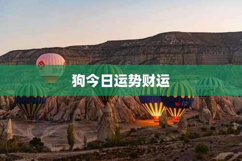 狗今日运势财运