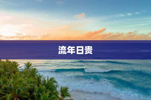 流年日贵