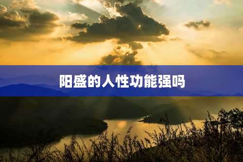 阳盛的人性功能强吗