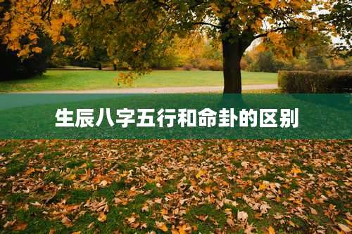 生辰八字五行和命卦的区别