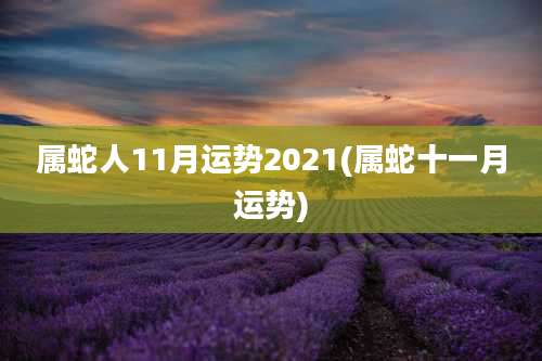 属蛇人11月运势2021(属蛇十一月运势)