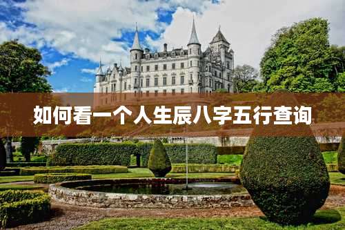 如何看一个人生辰八字五行查询